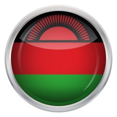 Glossy Button - Flag of Malawi N4