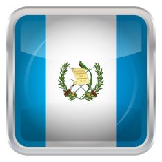 Glossy Button - Flag of Guatemala N3