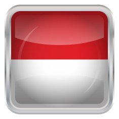 Glossy Button - Flag of Indonesia N3