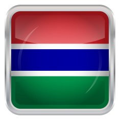 Glossy Button - Flag of Gambia N2