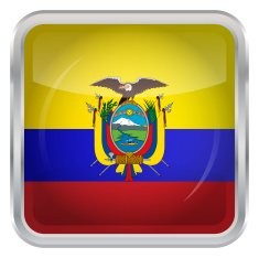 Glossy Button - Flag of Ecuador