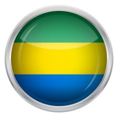 Glossy Button - Flag of Gabon N2