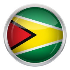 Glossy Button - Flag of Guyana N3