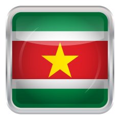 Glossy Button - Flag of Suriname N4