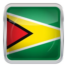 Glossy Button - Flag of Guyana N4