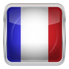 Glossy Button - Flag of French Guiana