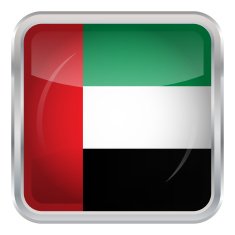 Glossy Button - Flag of United Arab Emirates N2