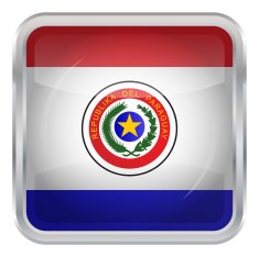 Glossy Button - Flag of Paraguay N3