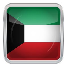 Glossy Button - Flag of Kuwait N3