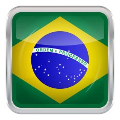 Glossy Button - Flag of Brazil N2