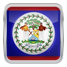 Glossy Button - Flag of Belize N3