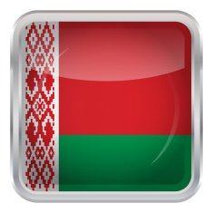 Glossy Button - Flag of Belarus N3