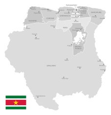 Detailed Vector Map of Suriname N2