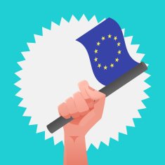 Europe Flag N2