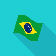Brazil Flag N17