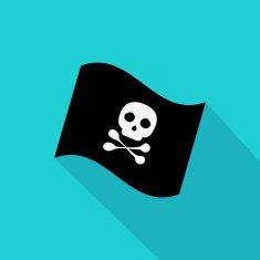 Pirate Flag N23