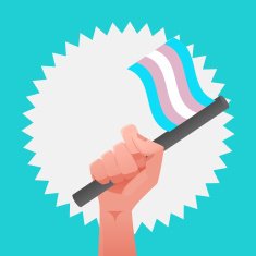 sexuality flag N7
