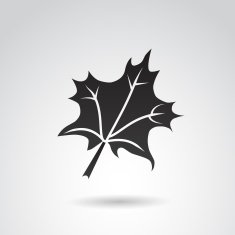 Autumn Leaf Icon N2
