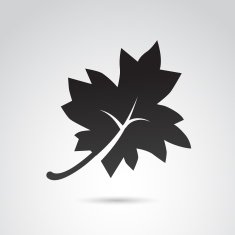 Autumn Leaf Icon N3