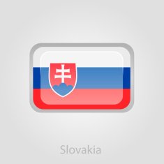 Slovakia flag button vector illustration N3