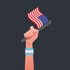 USA Flag & Sexuality symbol