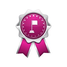 Flag Sign Pink Vector Icon Design