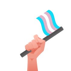 sexuality flag N21