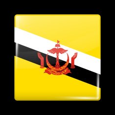 Flag of Brunei Glassy Icon Square Shape