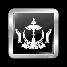 Brunei Coat of Arms Metalic Icon Square Shape