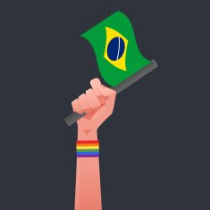 brazil flag & Sexuality symbol illustration