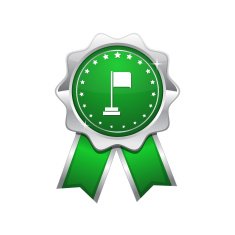 Flag Sign Green Vector Icon Design