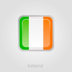 Ireland flag button vector illustration