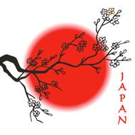 Japan flag Sakura and sun