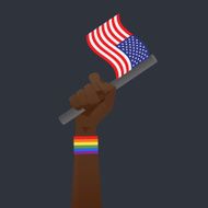 USA Flag &amp; Sexuality symbol N5