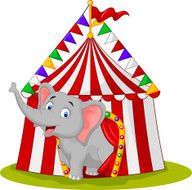 Happy elephant in the circus tent