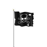 Pirate Flag N25