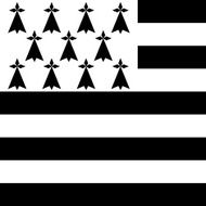 Brittany flag - Vector Square
