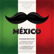 Mexican Mustache Copy Space N3