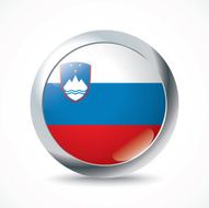 Slovenia flag button