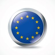 European Union flag button