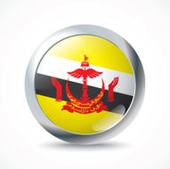 Brunei flag button N2