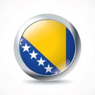 Bosnia and Herzegovina flag button