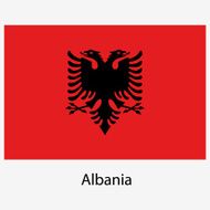 Flag N11