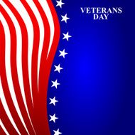Veterans Day in the US N2