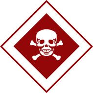 Skull And Crossbones Icon N2