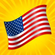 American Flag N81