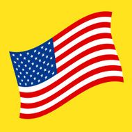 American Flag N82