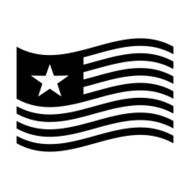 American Flag N83