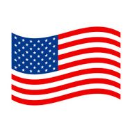 American Flag N84