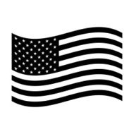 American Flag N85